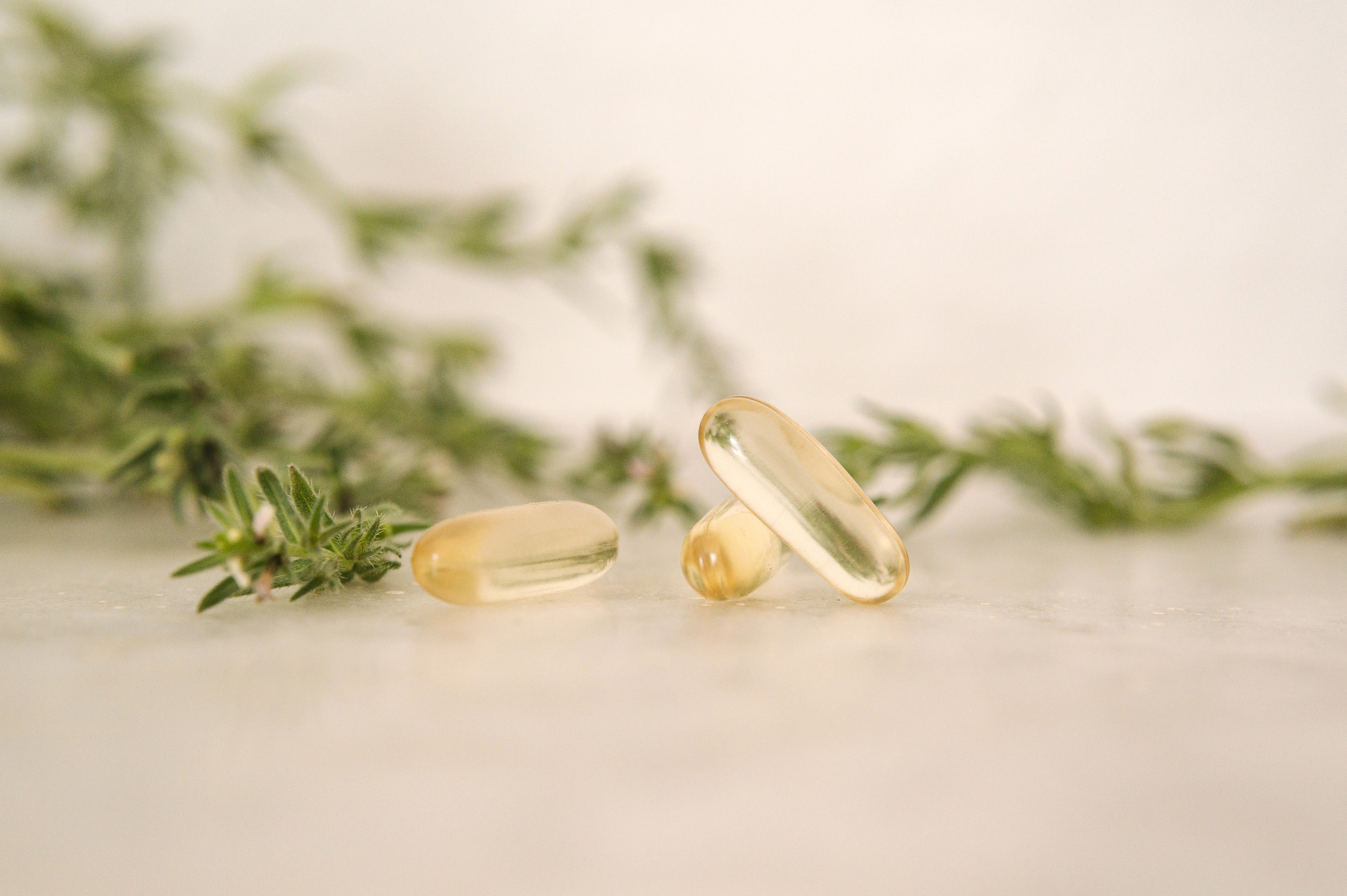 Supplements - Sow & Arrow