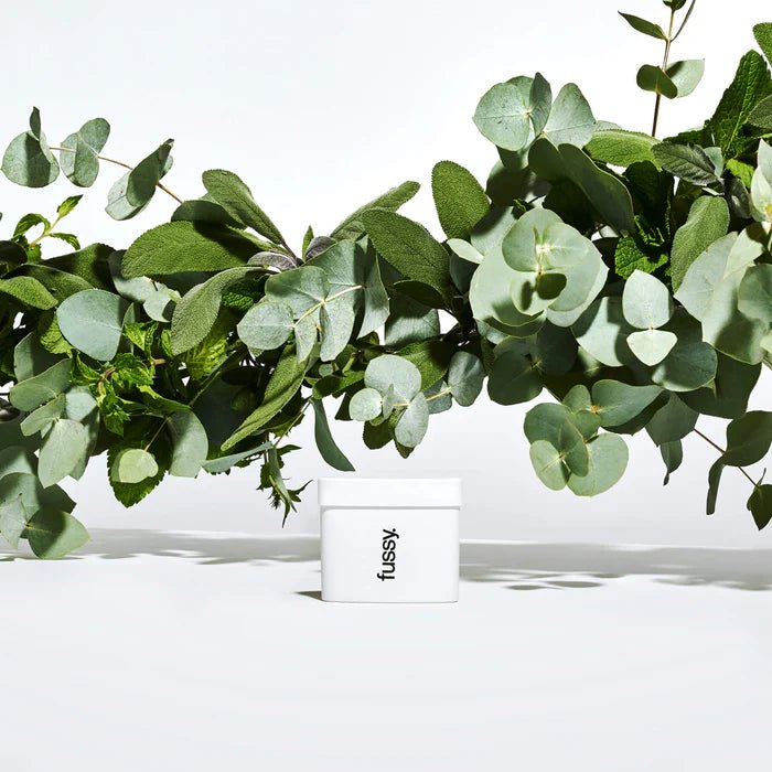 Natural Deodorant Refill - Wavy Days from Fussy | Available at Sow & Arrow