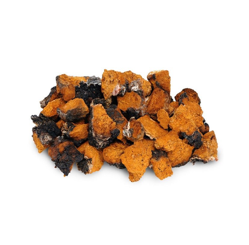 Organic Chaga - 60g from Mushrooms For Life | Available at Sow & Arrow