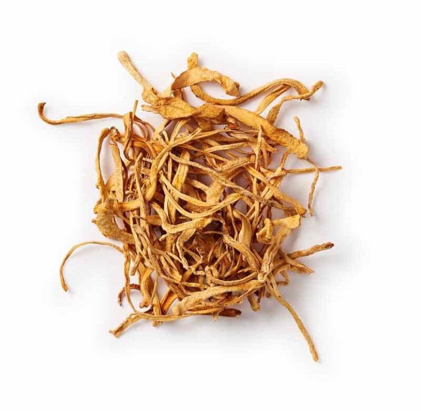 Organic Cordyceps Powder - 60g from Mushrooms For Life | Available at Sow & Arrow