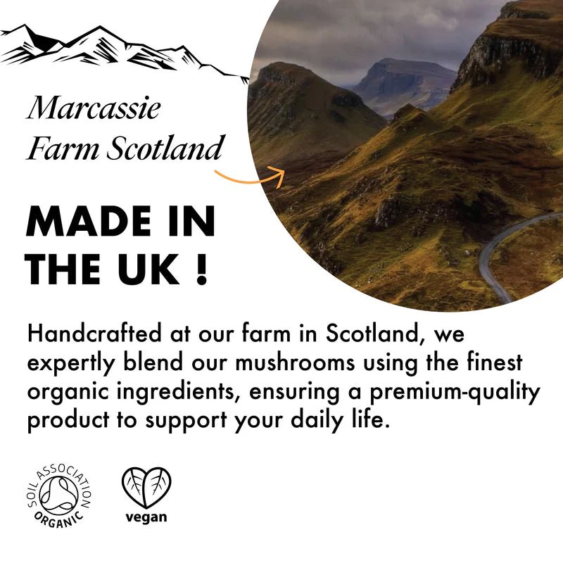 Organic Lion’s Mane Mushroom Extract (Alcohol Free) - 50ml from Love Mushrooms | Available at Sow & Arrow
