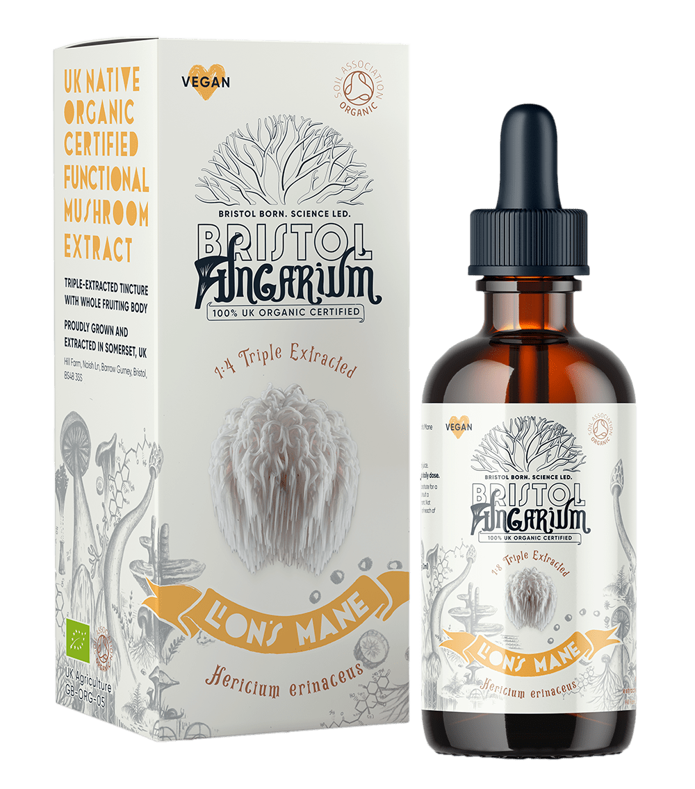 Organic Lion's Mane Tincture - 50ml from Bristol Fungarium | Available at Sow & Arrow