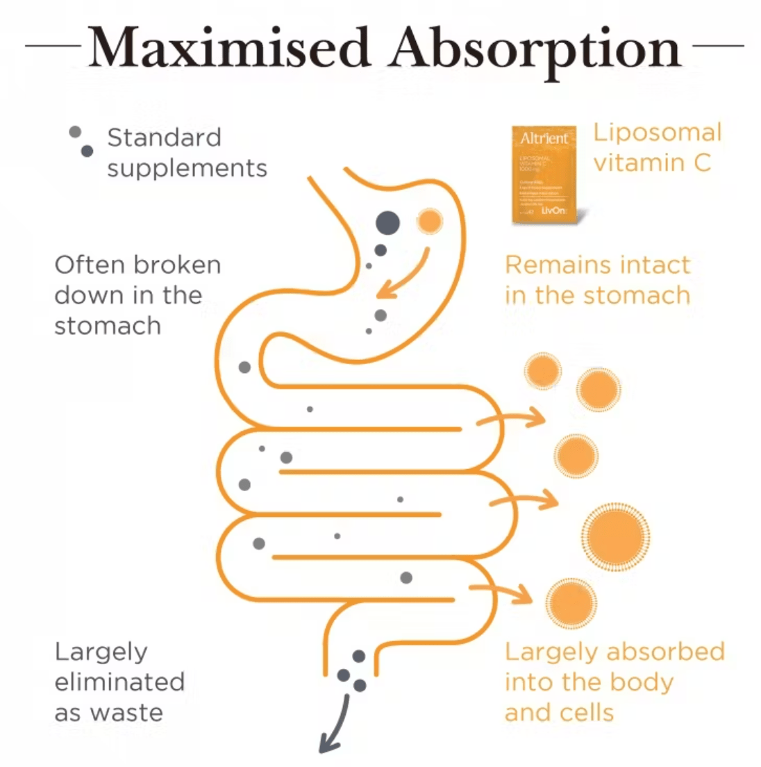 Liposomal Vitamin C - 30 x sachets 1000mg from Altrient | Available at Sow & Arrow