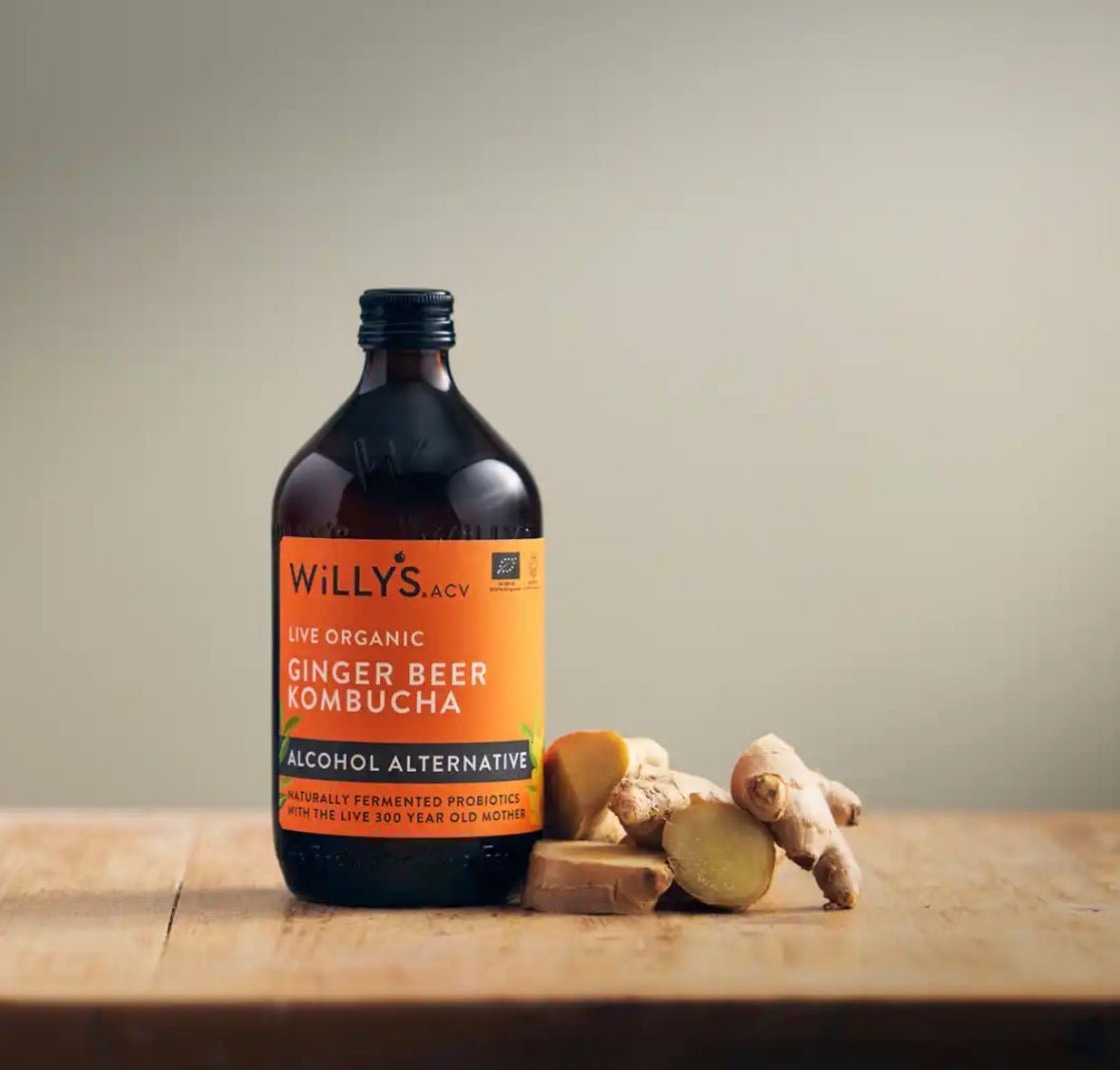 Organic Live Ginger Beer Kombucha - Alcohol Alternative 500ml from Willy's | Available at Sow & Arrow