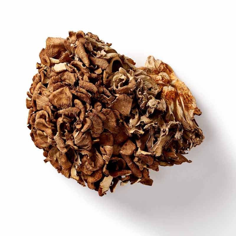 Organic Maitake Mushroom Powder - 60g from Mushrooms For Life | Available at Sow & Arrow