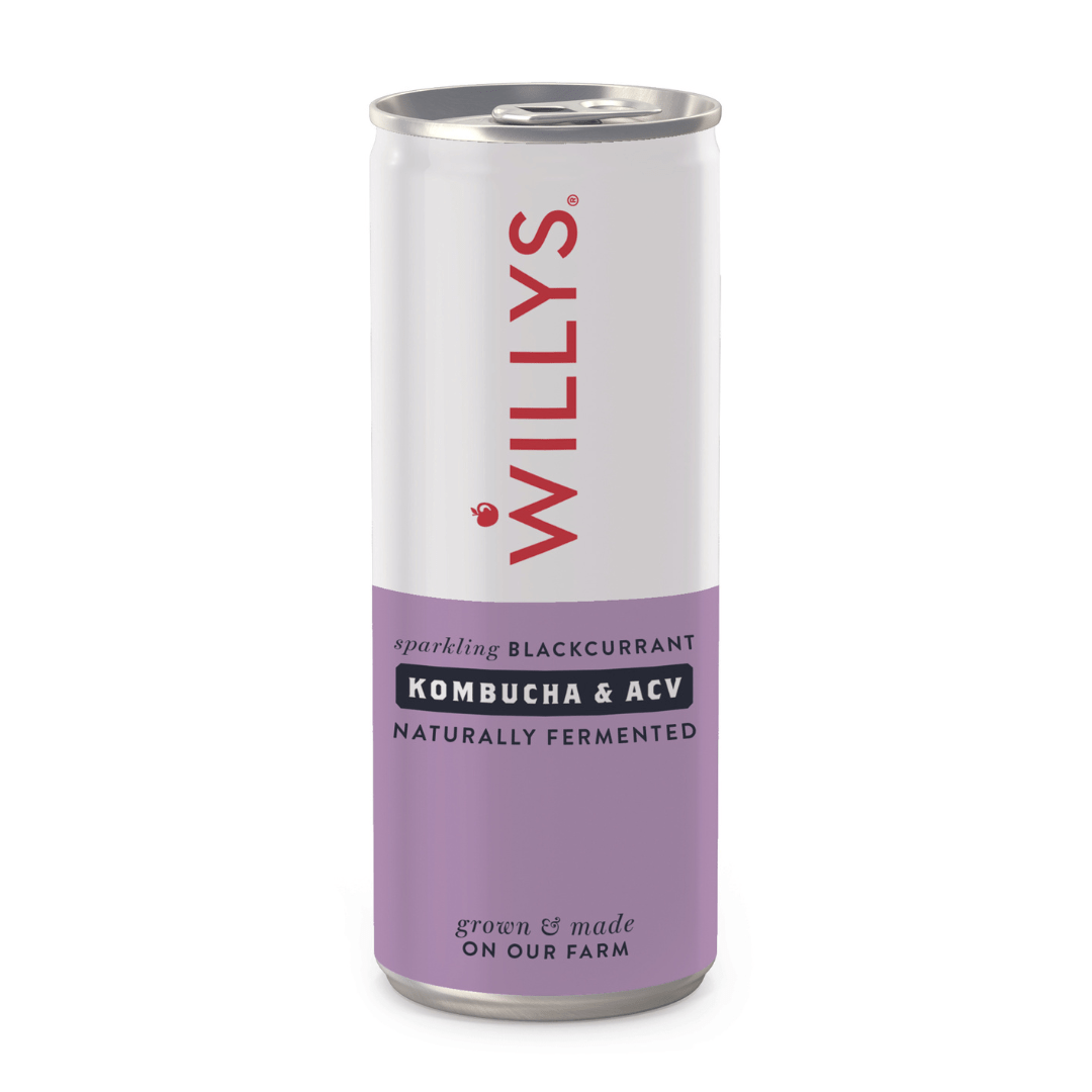 Sparkling Blackcurrant Kombucha & Apple Cider Vinegar Drink - 250ml from Willy's | Available at Sow & Arrow