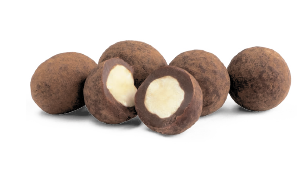 Raw Chocolate, Organic Salty Chocolate Hazelnuts - 100g